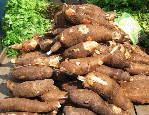 Kappa (Tapioca)